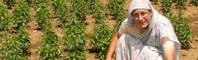 Organic agriculture promotion